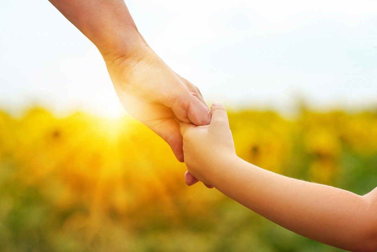 Guardianship Law